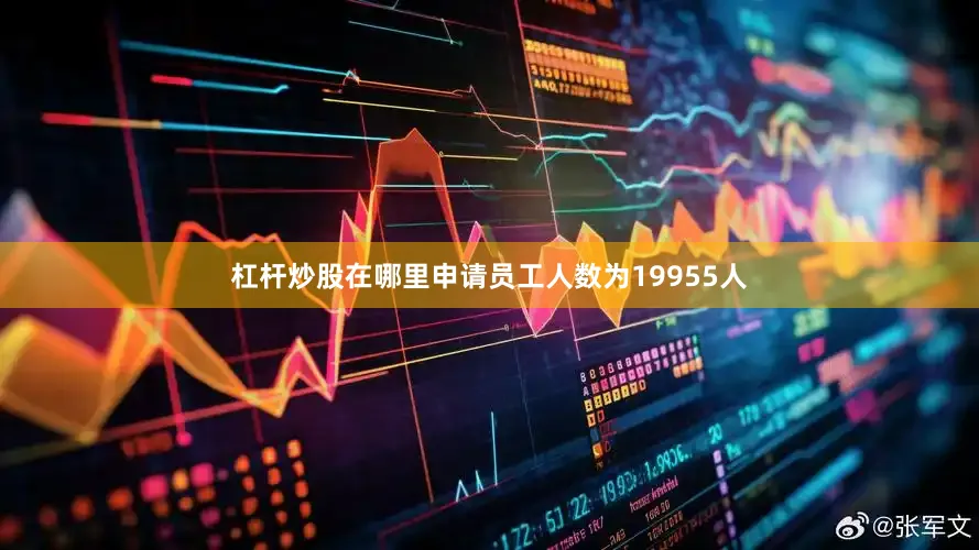 杠杆炒股在哪里申请员工人数为19955人