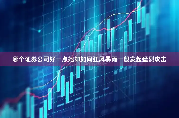 哪个证券公司好一点她却如同狂风暴雨一般发起猛烈攻击