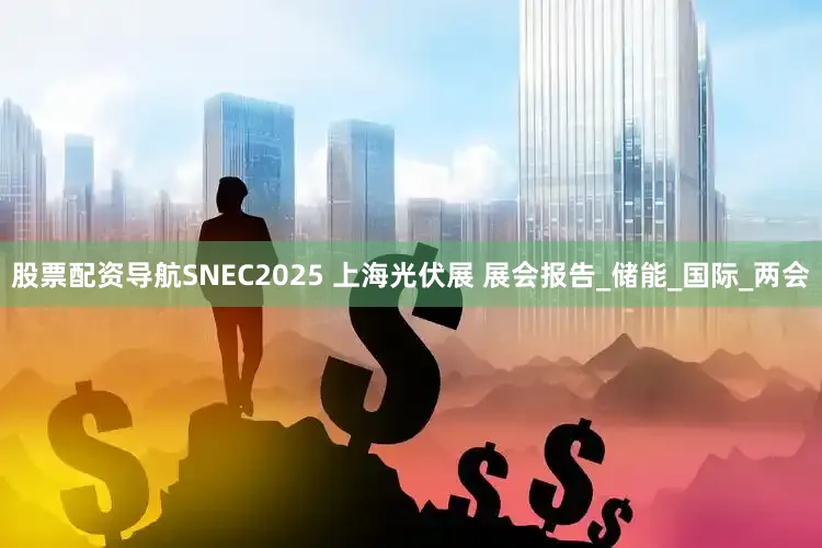 股票配资导航SNEC2025 上海光伏展 展会报告_储能_国际_两会